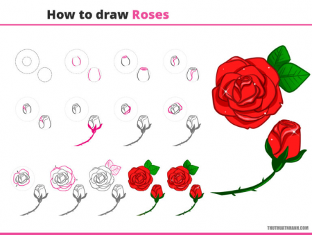Có video hướng dẫn vẽ hoa hồng đơn giản không?