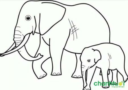 Tranh tô màu con voi đơn giản « in hình này